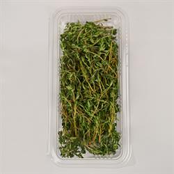 Kekik (25 gr) Medel Greens