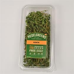 Kekik (25 gr) Medel Greens