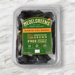 Kırmızı Gül (100 gr) Medel Greens