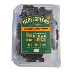 Kırmızı Palamut (100 gr) Medel Greens