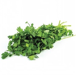 Kişniş (25 gr) Greenada