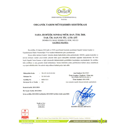 Kroisos Organik Siyah Zeytin (310 gr)