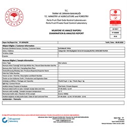 Lahana - Kırmızı, Adapazarı (1 kg)