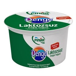 Laktozsuz Yoğurt (900 gr) Pınar