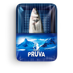 Levrek (400 600 gr) Pruva görseli.