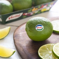 Limon Lime - İthal (3lü paket) Verita