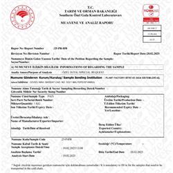 Lolobionda Marul (100 gr) Plant Factory