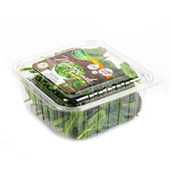 Mini Ispanak (150 gr) Greenada