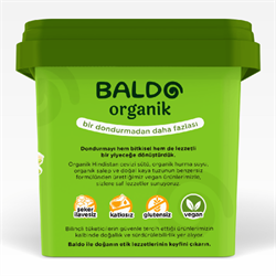 Organik Antep Fıstıklı Vegan Dondurma (400 gr) Baldo