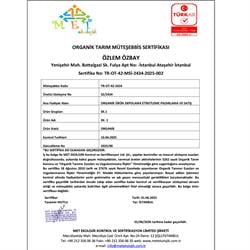 Organik Asma Yaprağı (300 gr) Green Apple