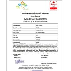 Organik Ayva (kg) Salih Özkan Çiftliği-Bursa