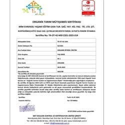Organik Bakla (500 gr) Kurtdoğmuş Çiftliği