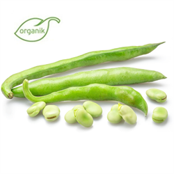 Organik Bakla (500 gr) Kurtdoğmuş Çiftliği