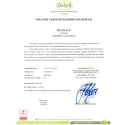 Organik Sarımsak 210 gr, Taşköprü Sinan Alp