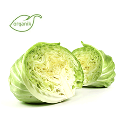 Organik Beyaz Lahana (2 kg) Ersöz Bahçesi - Afyon