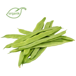 Organik Çalı Fasulye (500 gr) Salih Özkan Çiftliği-Bursa