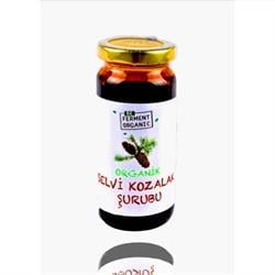 Organik Çam Kozalağı Şurubu (220 gr) Beferment görseli.