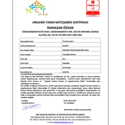 Organik Çilek (300 gr) Salih Özkan Çiftliği-Bursa
