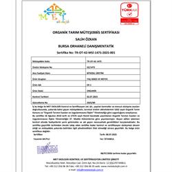 Organik Çilek (300 gr) Salih Özkan Çiftliği-Bursa