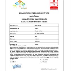 Organik Çilek (300 gr) Salih Özkan Çiftliği-Bursa