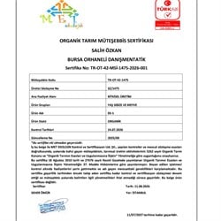 Organik Dereotu (demet) Salih Özkan Çiftliği-Bursa