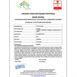 Organik Domates (500 gr) Okan Sevinç