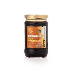 Organik Dut Pekmezi (380 gr) OTS görseli.
