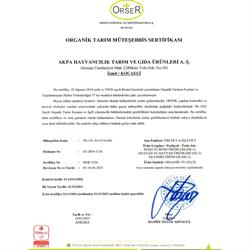 Organik Eski Kaşar Peyniri (300 gr) Akmeşe