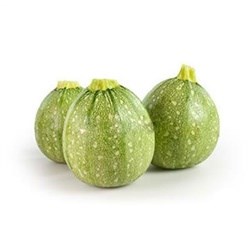 Organik Girit Kabağı (500 gr) Ersöz Bahçesi - Afyon