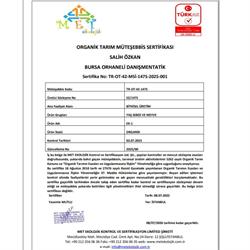 Organik Grannysmith Elma (500 gr) Salih Özkan Çiftliği-Bursa