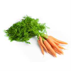 Organik Havuç (500 gr) Salih Özkan Çiftliği-Bursa