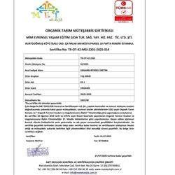 Organik Havuç (500 gr) Kurtdoğmuş Çiftliği