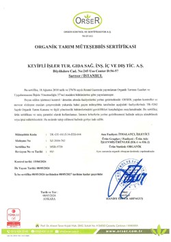 Organik Hindistan Cevizi Sütü, 400 ml (TheLifeCo)