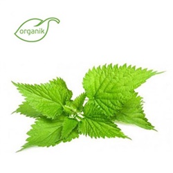 Organik ısırgan Otu, demet