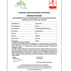 Organik ıspanak (500 gr) Salih Özkan Çiftliği-Bursa