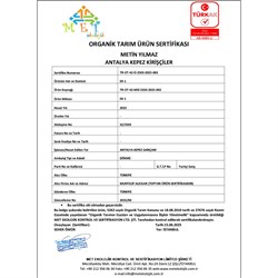 Organik Karpuz (6 kg)