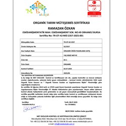 Organik Kayısı (500 gr) Salih Özkan Çiftliği-Bursa