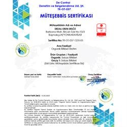 Organik Kereviz Sapı (demet) Ersöz Bahçesi - Afyon