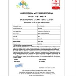 Organik Kivi (500 gr) Pulur Organik - Yalova