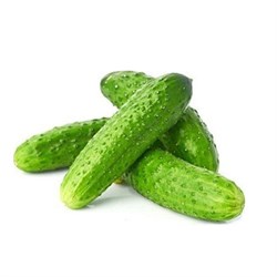 Organik Kornişon Salatalık (500 gr) Salih Özkan Çiftliği-Bursa