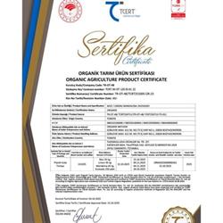 Organik Kumkuat (150 gr) Talat Çelik Bahçesi-Mersin