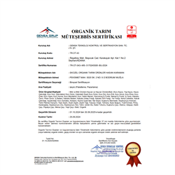 Organik Kuru İncir - Tahta Tabak (500 gr), Ekozel