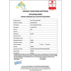 Organik Kuru Soğan (3 kg) Şükrü Yıldız