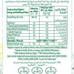 Organik Laktozsuz Süt (1lt) Pınar