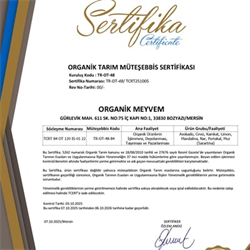 Organik Limon (500 gr) Talat Çelik Bahçesi-Mersin