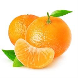 Organik Mandalina (500 gr) Organicasa