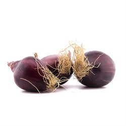 Organik Mor Soğan (500 gr) Organicasa görseli.