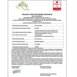 Organik Muz (kg) Organicasa
