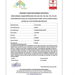 Organik Nane (demet) Kurtdoğmuş Çiftliği