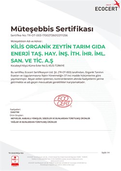 Organik Naturel Sızma Zeytinyağı Dorica Cam Şişe (750 ml) Kilizi